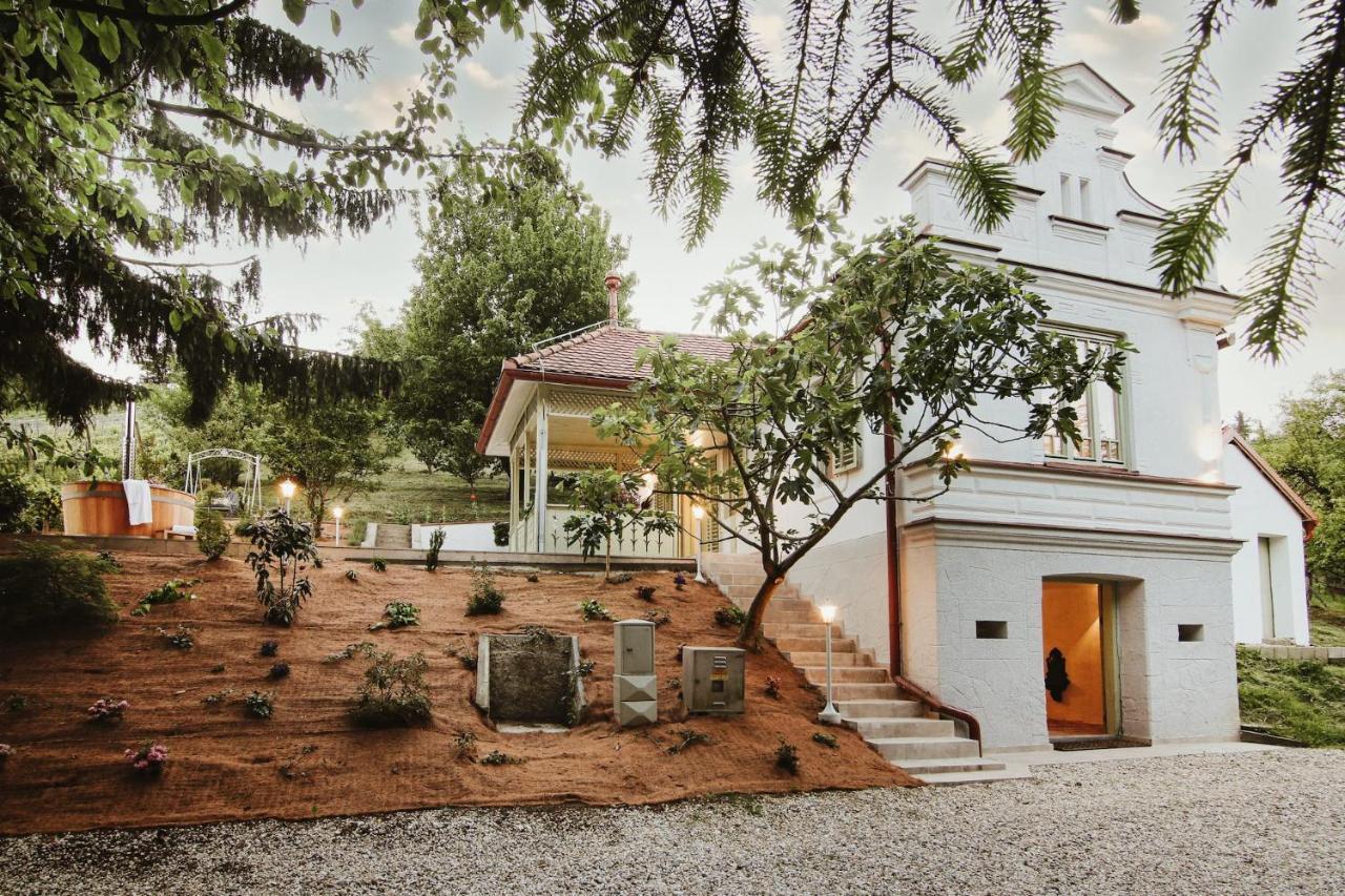 Vila Vilma Vineyard Cottage Lendava Exterior foto