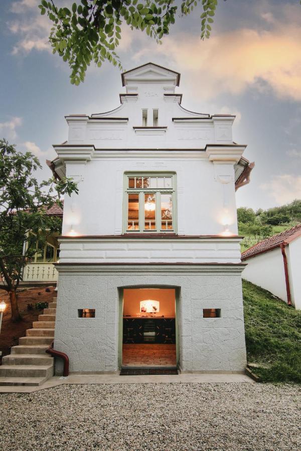 Vila Vilma Vineyard Cottage Lendava Exterior foto